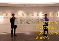 上海中共党史陈列馆收藏作品