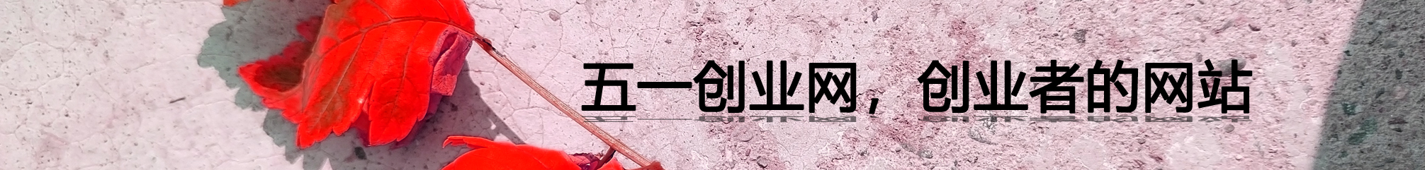 五一创业网